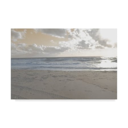 Trademark Fine Art Sharon Chandler 'Serene Sea 2' Canvas Art, 16x24 WAG07860-C1624GG